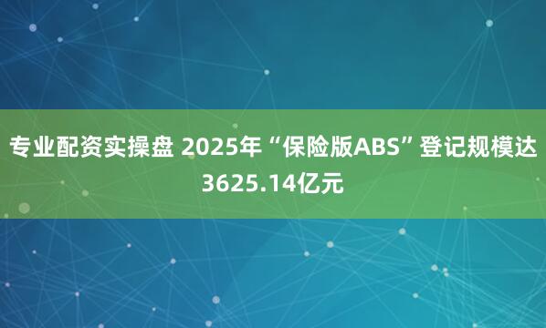 专业配资实操盘 2025年“保险版ABS”登记规模达3625.14亿元