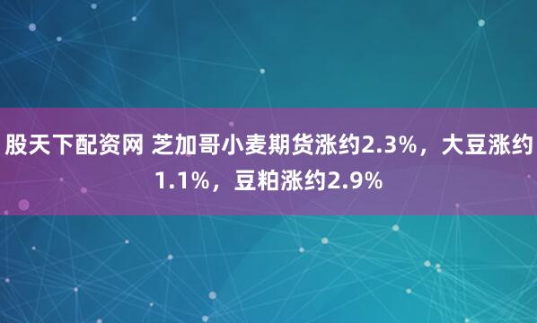 股天下配资网 芝加哥小麦期货涨约2.3%，大豆涨约1.1%，豆粕涨约2.9%