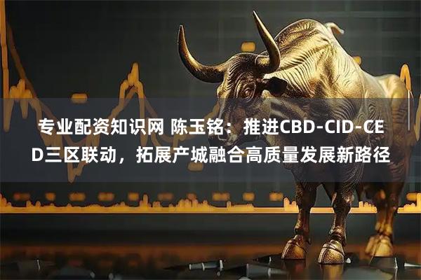 专业配资知识网 陈玉铭：推进CBD-CID-CED三区联动，拓展产城融合高质量发展新路径